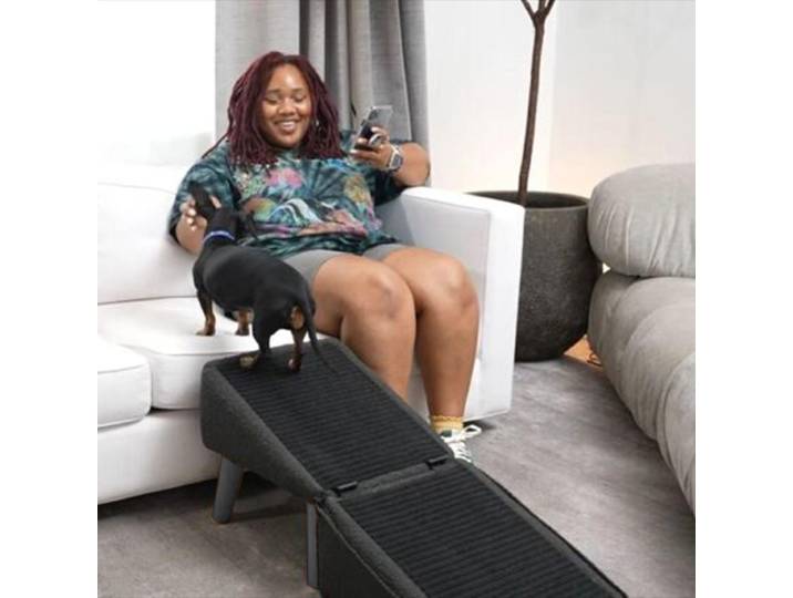 Rampe pour chien pliable pour lit, escalier pour véhicule, repose-pieds pour animaux de petite race, rampe multifonctionnelle antidérapante pour chat