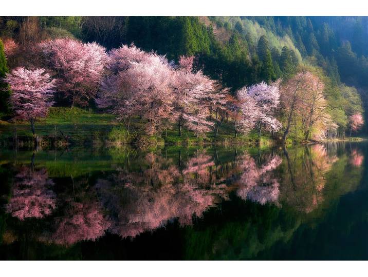 Fototapete PAPERMOON Photo-Art TAKESHI MITAMURA, EINE ANDERE WELT , bunt, B:3m L:2,23m, Vlies, Tapeten, Fototapete