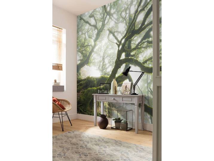 Papier peint intissé Forgotten Forest 400 x 250cm