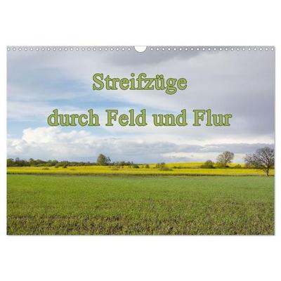 Streifzüge durch Feld und Flur (Wandkalender 2027 DIN A3 quer), CALVENDO Monatskalender
