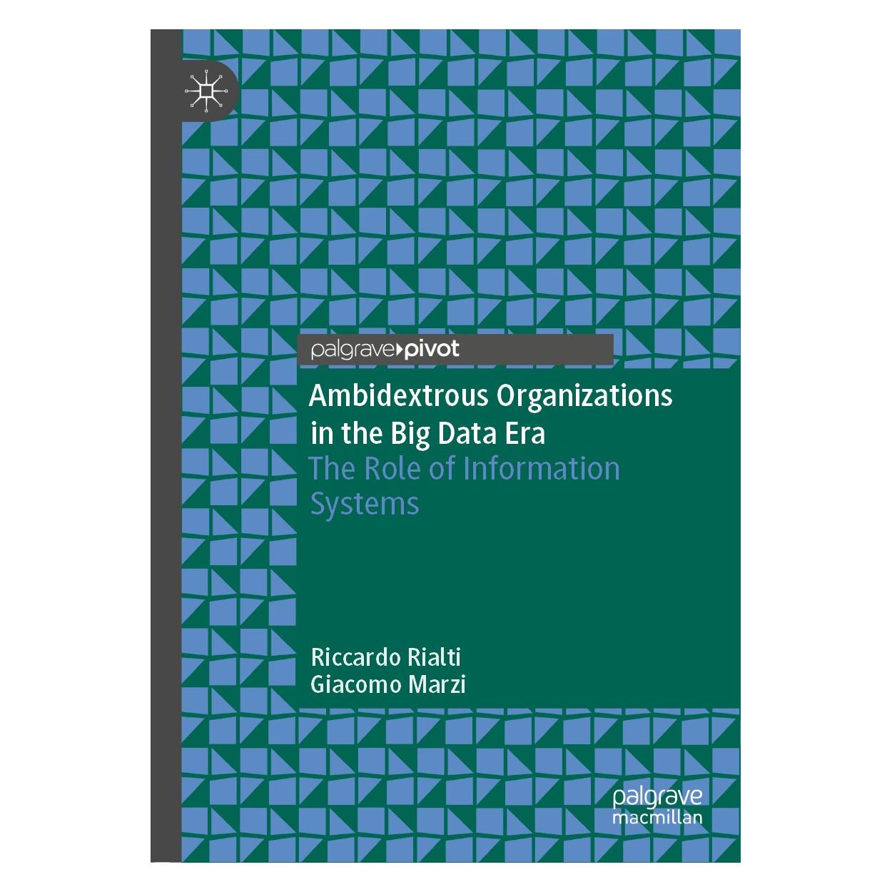 Springer Ambidextrous Organizations in the Big Data Era (Englisch, Hardcover, Giacomo Marzi, Riccardo Rialti) (9783030365837)