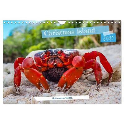Unterwasserwelt Christmas Island (Wandkalender 2027 DIN A4 quer), CALVENDO Monatskalender