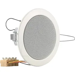 VIS 50111 - Deckenlautsprecher, 100 V, IP54, 10 cm, weiß