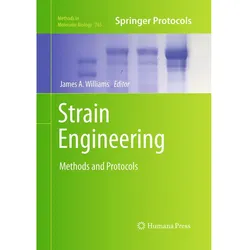 Strain Engineering, Fachbücher