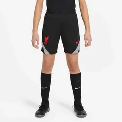 Nike FC Liverpool Strike Shorts Kinder schwarz/grau 137-147