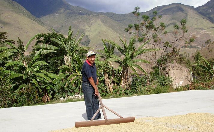 Cafés Lugat - Peru - Altura - Gemahlener Kaffee Für Espressokocher 250 G - MaxiCoffee