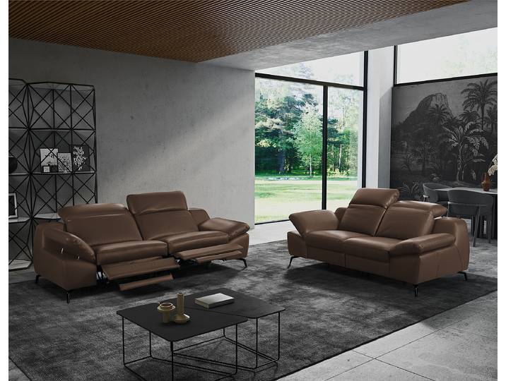 2-Sitzer Sofa Braun Echtleder Domna 194 x 83 x 110cm Kopfstütze verstellbar/Armlehne verstellbar Schwarz Modern