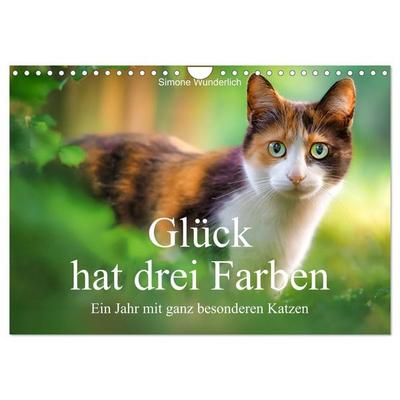 Glück hat drei Farben - ein Jahr mit ganz besonderen Katzen (Wandkalender 2027 DIN A4 quer), CALVENDO Monatskalender