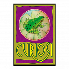 Curiosi Picoli Puzzle Laubfrosch - 33 Teile 292151