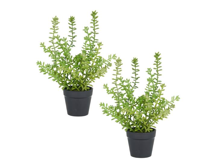 Kunstpflanze Sedum Acre 27cm