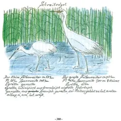 Das Vogel-Album. 1950, Sachbücher von Karl Wenzel