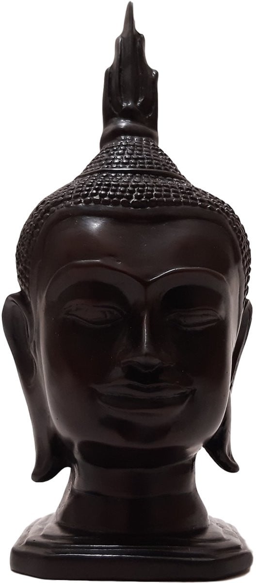 Boeddha Hoofd Beeld Bruin van U-Tong, Hoogte: 24 cm