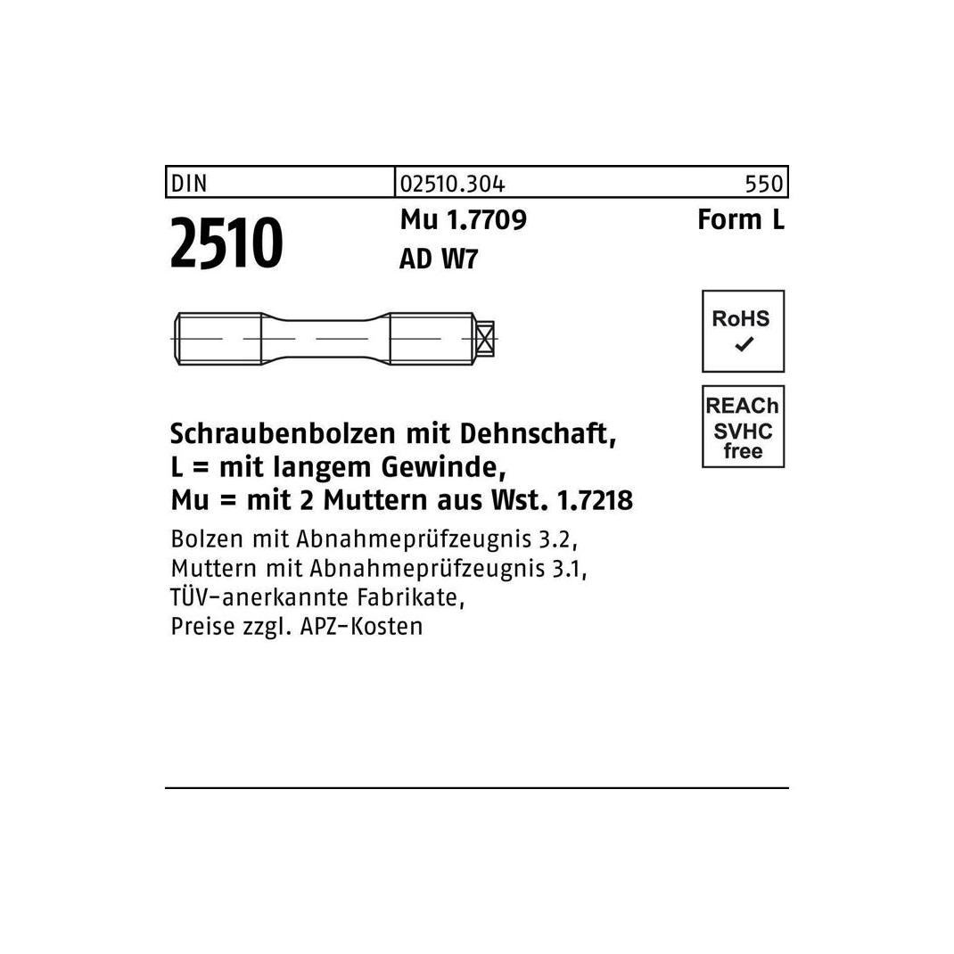 Sandisk DIN 2510 Form L Dehnschraube M20x160 1.7709 (21CrMoV5-7) blank m. 2 Muttern (025103040200160)