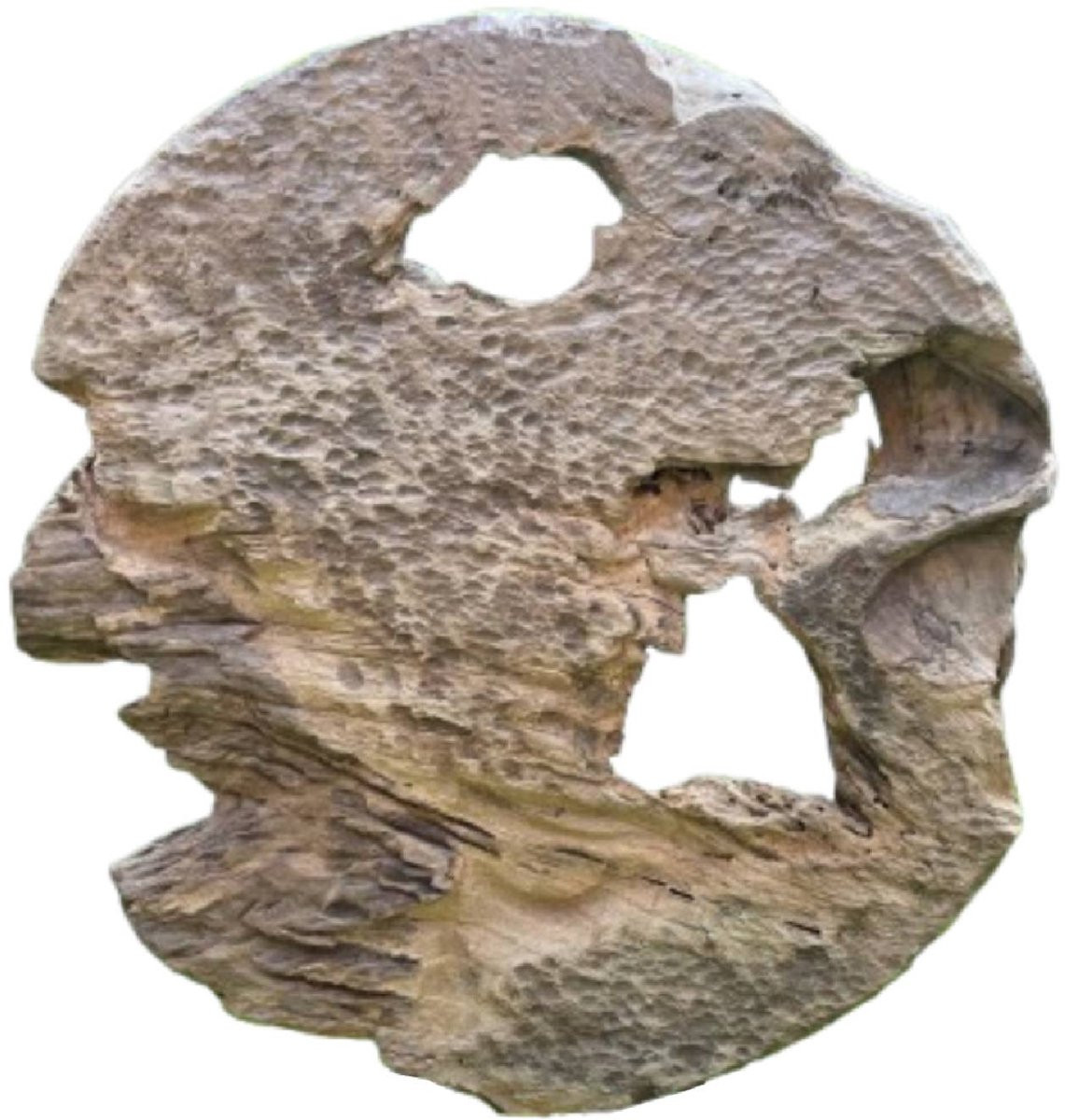 PTMD Roch Wandpaneel van Natuurlijk Teak Hout Rond Groot