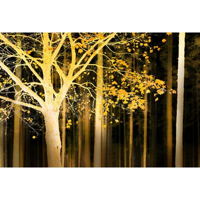 Fototapete ARCHITECTS PAPER "Artwork Tree", gelb (beige, braun, gelb), B:4m L:2,7m, Vlies, Tapeten, Vlies, Wand, Schräge