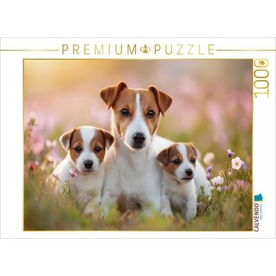 CALVENDO Puzzle Kuschelalarm garantiert | 1000 Teile Lege-Größe 64x48cm Foto-Puzzle für glückliche Stunden