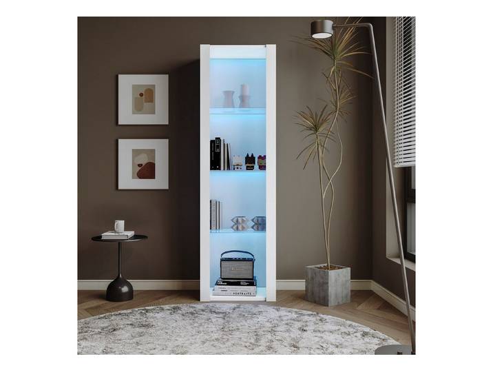 OKWISH Vitrine mit LED-Beleuchtung, 1 Glasboden, Vitrine (Packung, 1-St., Mit LED-Beleuchtung und 4 Fächern) Vitrine mit LED-Beleuchtung, 1 Glasboden