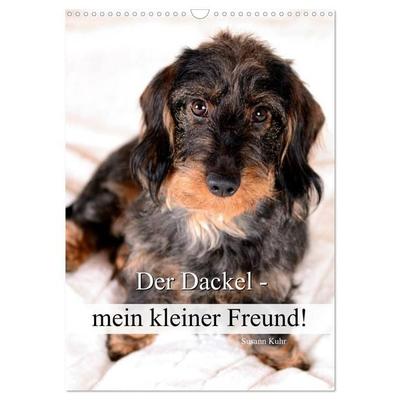 Der Dackel - mein kleiner Freund (Wandkalender 2027 DIN A3 hoch), CALVENDO Monatskalender