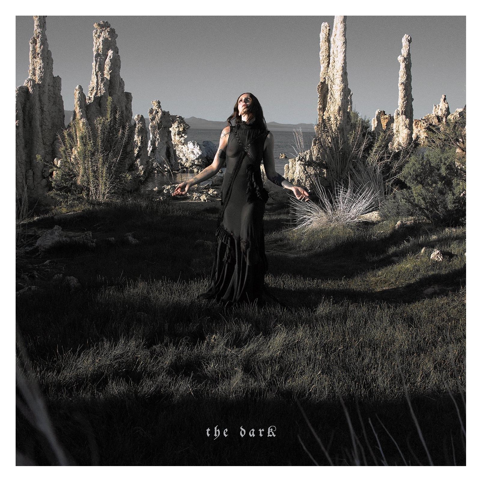 United Medical Partners The Dark (VINYL) (Chelsea Wolfe) (76500989)