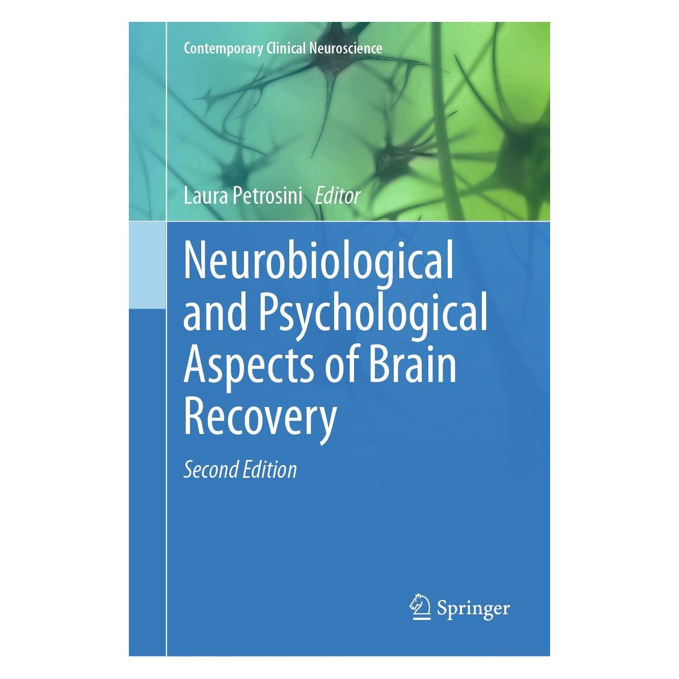Springer Neurobiological and Psychological Aspects of Brain Recovery (Englisch, Laura Petrosini) (9783031249297)