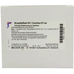 Bryophyllum D 5/conchae D 7 Ampullen 5X10 ml