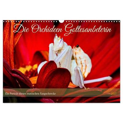 Die Orchideen Gottesanbeterin (Wandkalender 2027 DIN A3 quer), CALVENDO Monatskalender