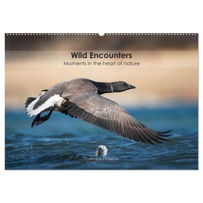 Wild encounters – Moments in the heart of nature (Wall Calendar 2027 DIN A2 landscape), CALVENDO 12 Month Wall Calendar