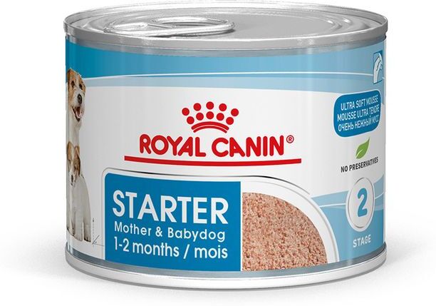 Royal Canin Italia Shn Wet Starter Mother&bb 195g