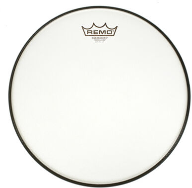 Remo "12" Renaissance Ambassador"