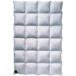 Billerbeck Ambiente Daunendecke Kassette II - 155x200cm