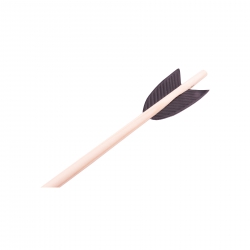holzspielerei Pfeil mit Saugnapf 40 cm 279564