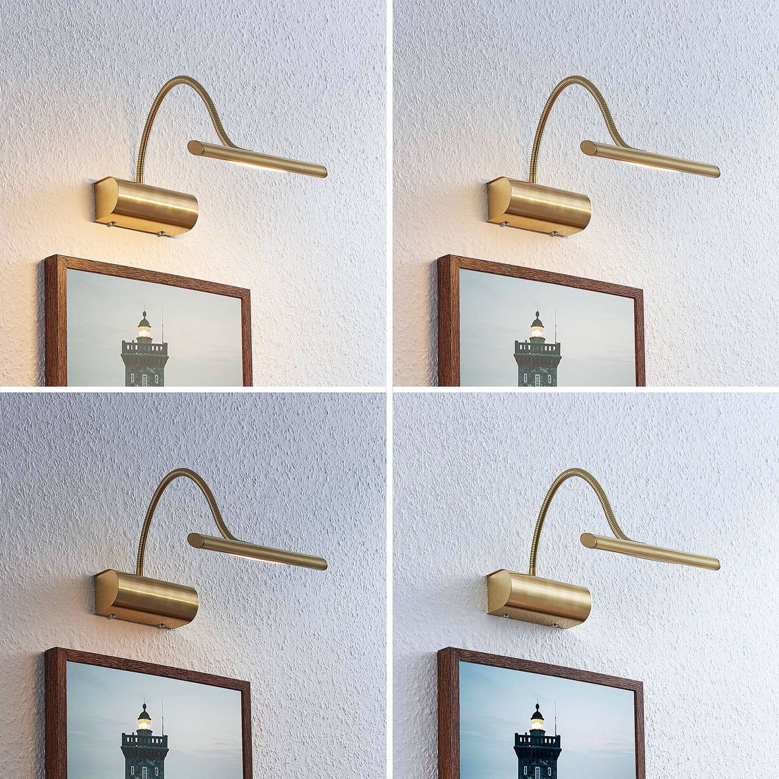LED-Bilderleuchte Rakel mit Flexarm, messing matt Lindby, dimmbar, messing / gold, für Wohn- / Esszimmer, Metall, Modern, Wandleuchte, Wandlampe Innen