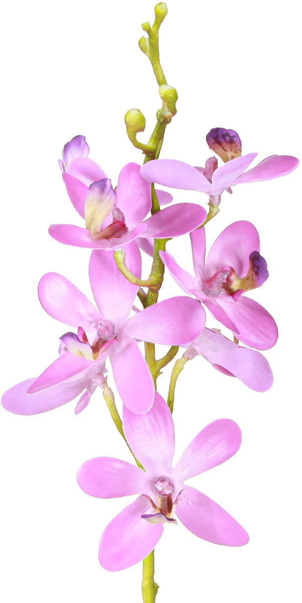 Viana Kunstmatige orchideeën met 8 paarse bloemen, 2 stuks
