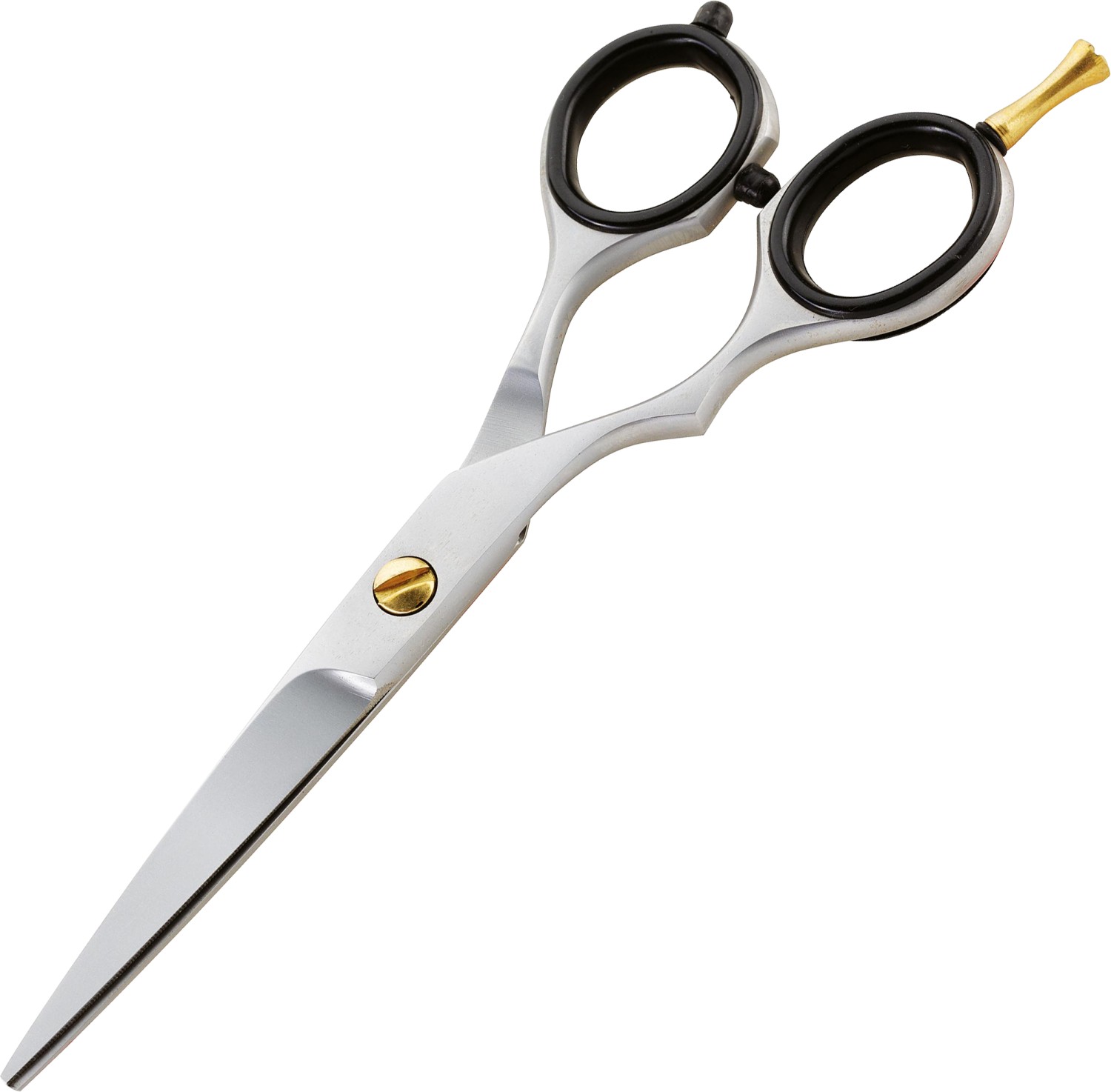 XanitaliaPro Iwasaki Easy Offset 5.5” LEFT XP-370.875