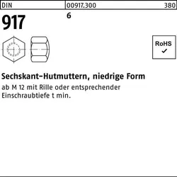 Sechskanthutmutter DIN 917 niedrige FormM8 6 500 Stück