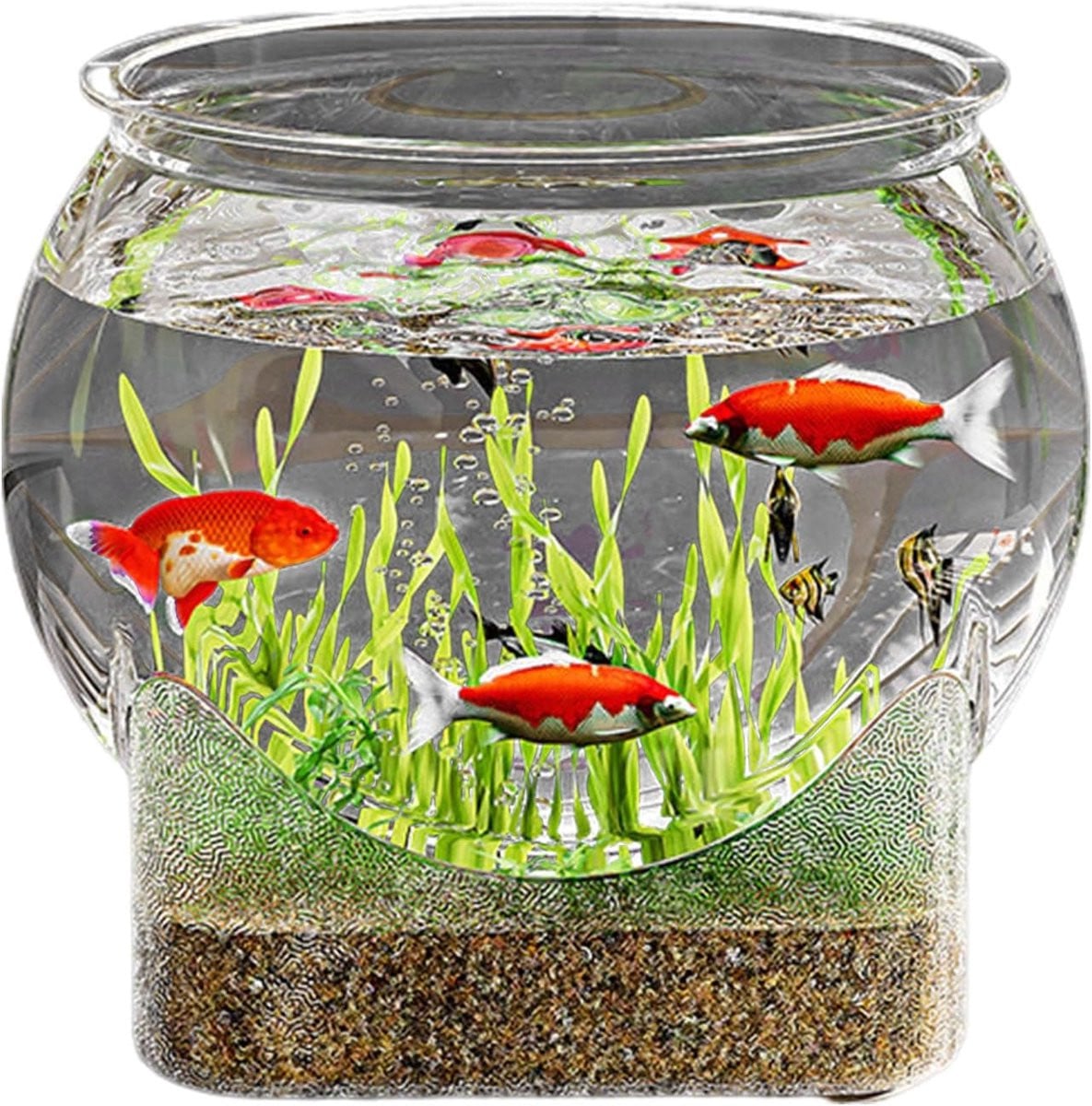 Ronde Glazen Viskom - Decoratief Terrarium Vaas - Doorzichtig