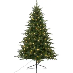 Art Collection, Weihnachtsbaum, rn (210 cm)