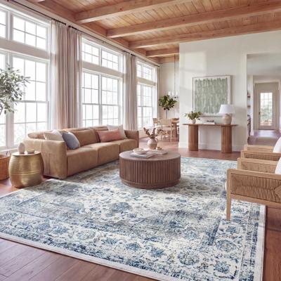 SAFAVIEH Evoke Annabel Vintage Shabby Chic Oriental Rug