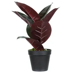meet Kunstpflanze »Gummibaum« 36 cm, 36 cm