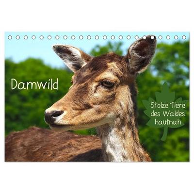 Damwild - stolze Tiere des Waldes hautnah (Tischkalender 2027 DIN A5 quer), CALVENDO Monatskalender