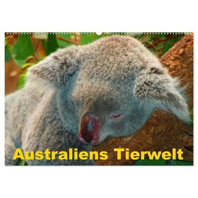 Australiens Tierwelt (Wandkalender 2027 DIN A2 quer), CALVENDO Monatskalender