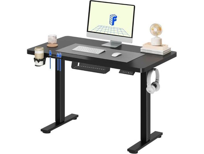FlexiSpot Bureau Assis Debout 120x60 cm Bureau Réglable Électrique Bureau avec Crochet Charge 60kg Noir