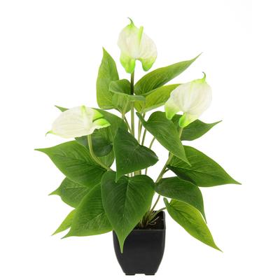 Kunstblume I.GE.A. "Anthuriumpflanze", weiß, B:20cm H:42cm L:20cm, Obermaterial: 80% Polyester, 20% Kunststoff, Kunstpflanzen, Anthurien Pflanze im Topf Anthurieexotisch Flamingopflanze