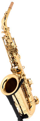 Thomann ASBGG Custom Line Alto Sax