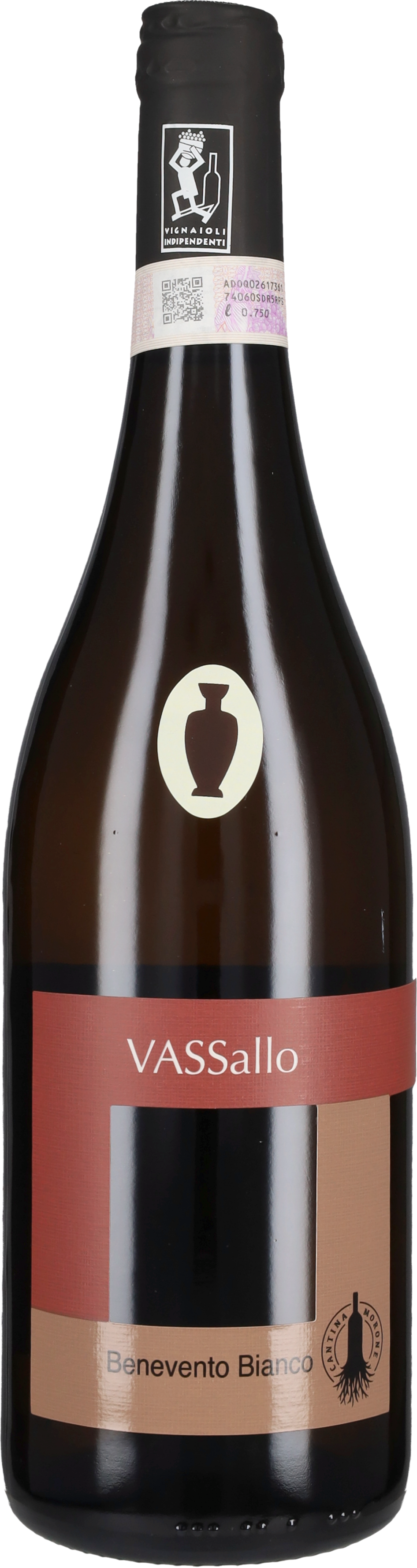'Vassallo Anfora' Cantina Morone 2024