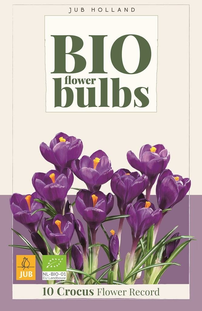 JUB Bio Crocus Flower Record 10 bloembollen