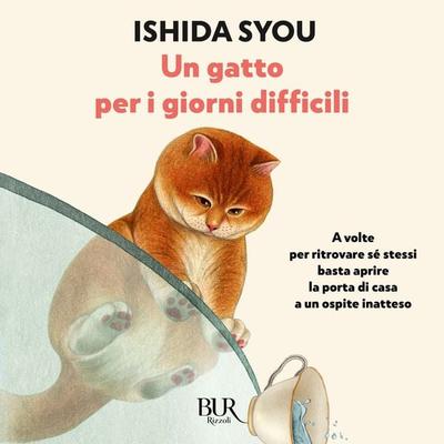 Un gatto per i giorni difficili - Syou Ishida, Audio, 9788831819350