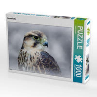 CALVENDO Puzzle Lannerfalke | 1000 Teile Lege-Größe 64x48cm Foto-Puzzle für glückliche Stunden