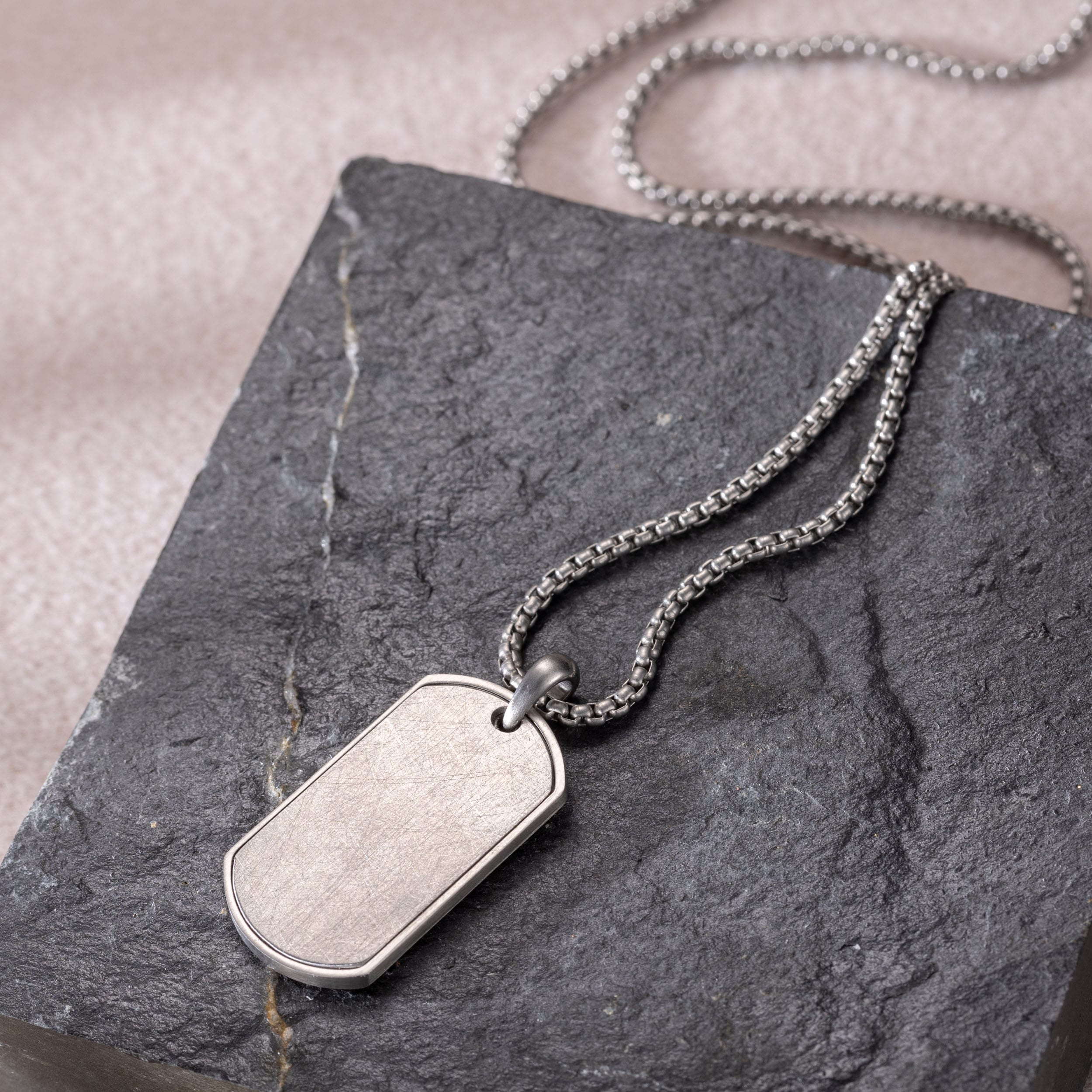 Kette mit Anhänger FIRETTI "Schmuck Geschenk Edelstahl Halsschmuck Halskette Dog Tag Ice", silber (edelstahlfarben), Halsketten, Herren, Edelstahl, L: 65, Kette mit Anhänger edelstahlfarben Edelstahl, L: 65