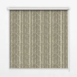 INNENROLLO - Fensterrollo - Rollo - 150x140 cm - Baumstämme